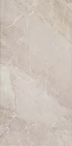 Alanya Alanya Grey porcelain tile, 30×60 cm, Glossy finish
