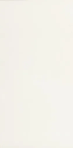 Alaska Alaska Super White porcelain tile, 60×120 cm, Polished finish