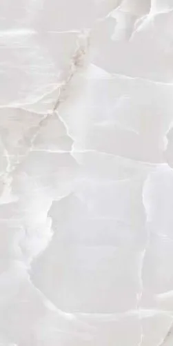 Onice Onice Grey 1 porcelain tile, 60×120 cm, Polished finish